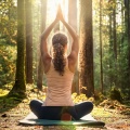 Frecuencias del loto、Armonía de Yoga、Clases de Yoga en Paz - Melodías De Práctica Consciente