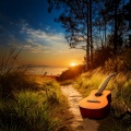 Guitar Music: A Path to Peaceful Sleep