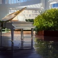 Piano Reflections: Layers of Melodic Calm