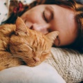 Musica Relajante de Guitarra、Gato dormido、Guarida de música de gatos - Confort De Guitarra Para Gatos