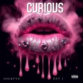 Shortyo、Ray J - Curious (Explicit)