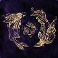 Chrysalis - SAP