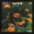 小萧 - 我的爱情