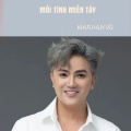Lưu Ánh Loan - Vùng Lá Me Bay