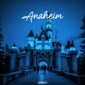 Game Wave Master - Anaheim