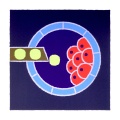 Ceros