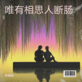 李建政 - 唯有相思人断肠