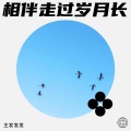 王发发发 - 心灵在微风中的翱翔