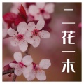 一花一木