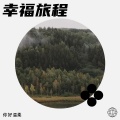 你好温柔、杨阿姨 - 茫茫人海