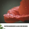 Ruido Blanco Hart、Rain Sounds for Sleep、Entspannungsmusik - Regenträumerei