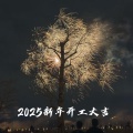 2025新年开工大吉 (新年事业新气象)