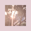 noiz - 同花顺
