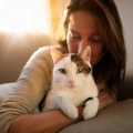 Musica de Fondo、Música para Relajar Gatos、Música tranquila para gatos - Rasgueo Suave Del Bigote
