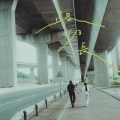 雷同二友 - 路仍长