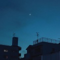 dydrms. - in your arms.
