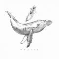 クジリ - メビウス