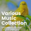 Various Music Collection Vol.209 -Selected & Music-Published by Audiostock-
