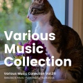 Various Music Collection Vol.211 -Selected & Music-Published by Audiostock-