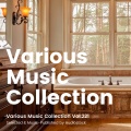 Various Music Collection Vol.221 -Selected & Music-Published by Audiostock-