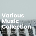 Various Music Collection Vol.224 -Selected & Music-Published by Audiostock-