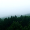 Stay Relaxed - Drizzle
