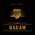 M3HDI、3robi - Haram