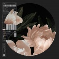 Danny Sbert、Josu Freire - Without Rules