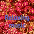 Relaxing music Meditate - Calming music