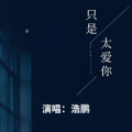 浩鹏 - 只是太爱你