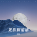 无影 - 择良人