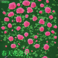 DJ尼保 - 春天花会开