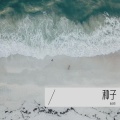 种子