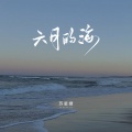 六月的海 (DJAh版)