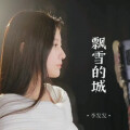 DJ阿兵、李发发 - 飘雪的城DJ版
