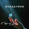 想你是我戒不掉的痴