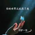 守护一生 - 你的世界从此没了我DJ