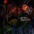 Sonidos De Aves - Weeds Slither