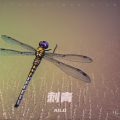 多肉、AILO - 刺青