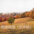 雨夜低语（女声版）