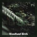 Woodland Birds