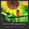 Sonidos De Aves - Blessed Unrestrained