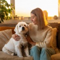 Sonido Puro、Música para perros solo en casa、Música para perros TA - Ritmos Para La Armonía Canina