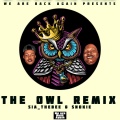 The Owl Remix