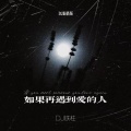 DJ铁柱 - 如果再遇到爱的人