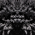 Jahdruh - Consumes
