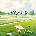 早晚晚 - 异乡风儿吹