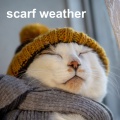 scarf weather (Explicit)