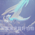 王司徒 - 天雷滚滚我好怕怕