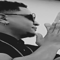 Alfonso - A lo bob mayli